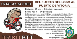 Del Puerto del Lobo al Puerto de Vitoria (42 km)